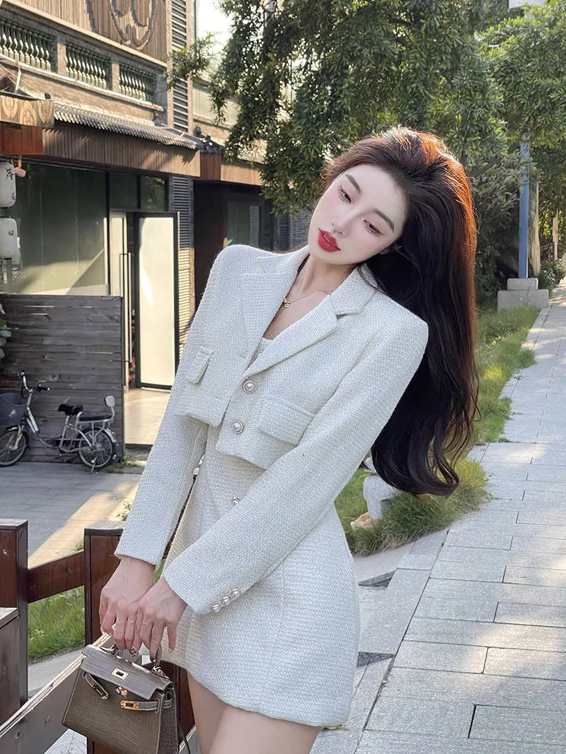 Parisian Charm Mesh Dress