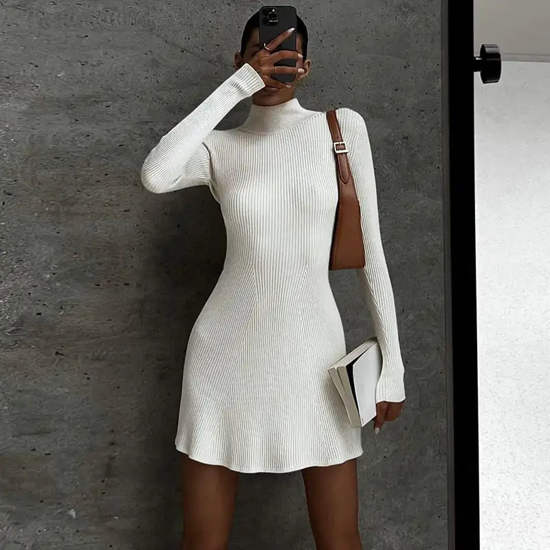 Anna Color Wool Turtleneck Dress