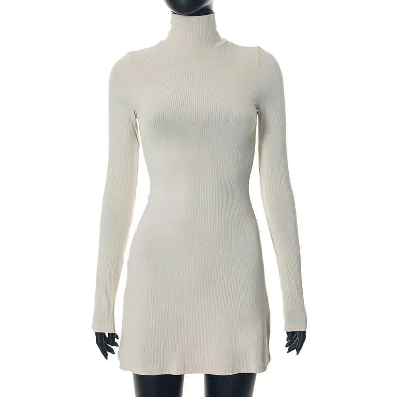 Anna Color Wool Turtleneck Dress