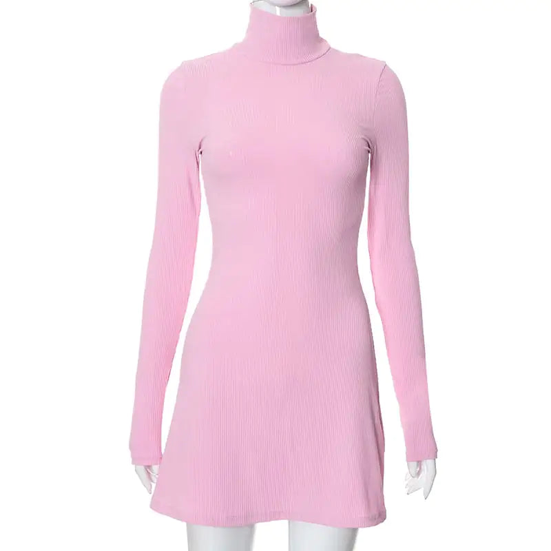 Anna Color Wool Turtleneck Dress