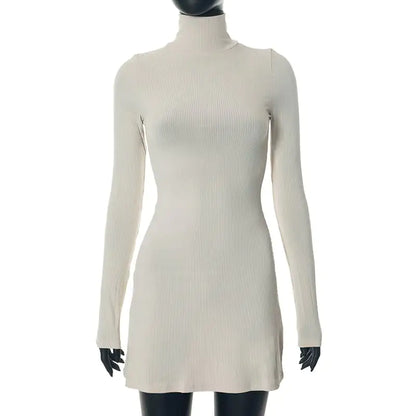 Anna Color Wool Turtleneck Dress