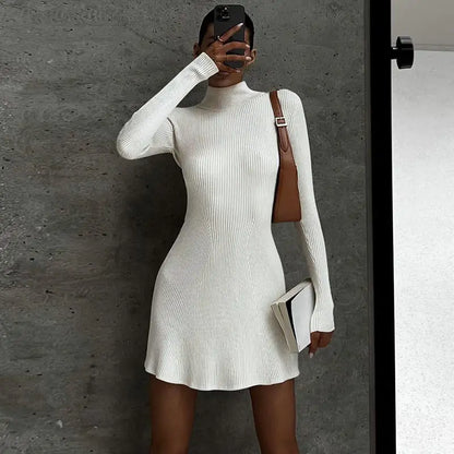 Anna Color Wool Turtleneck Dress